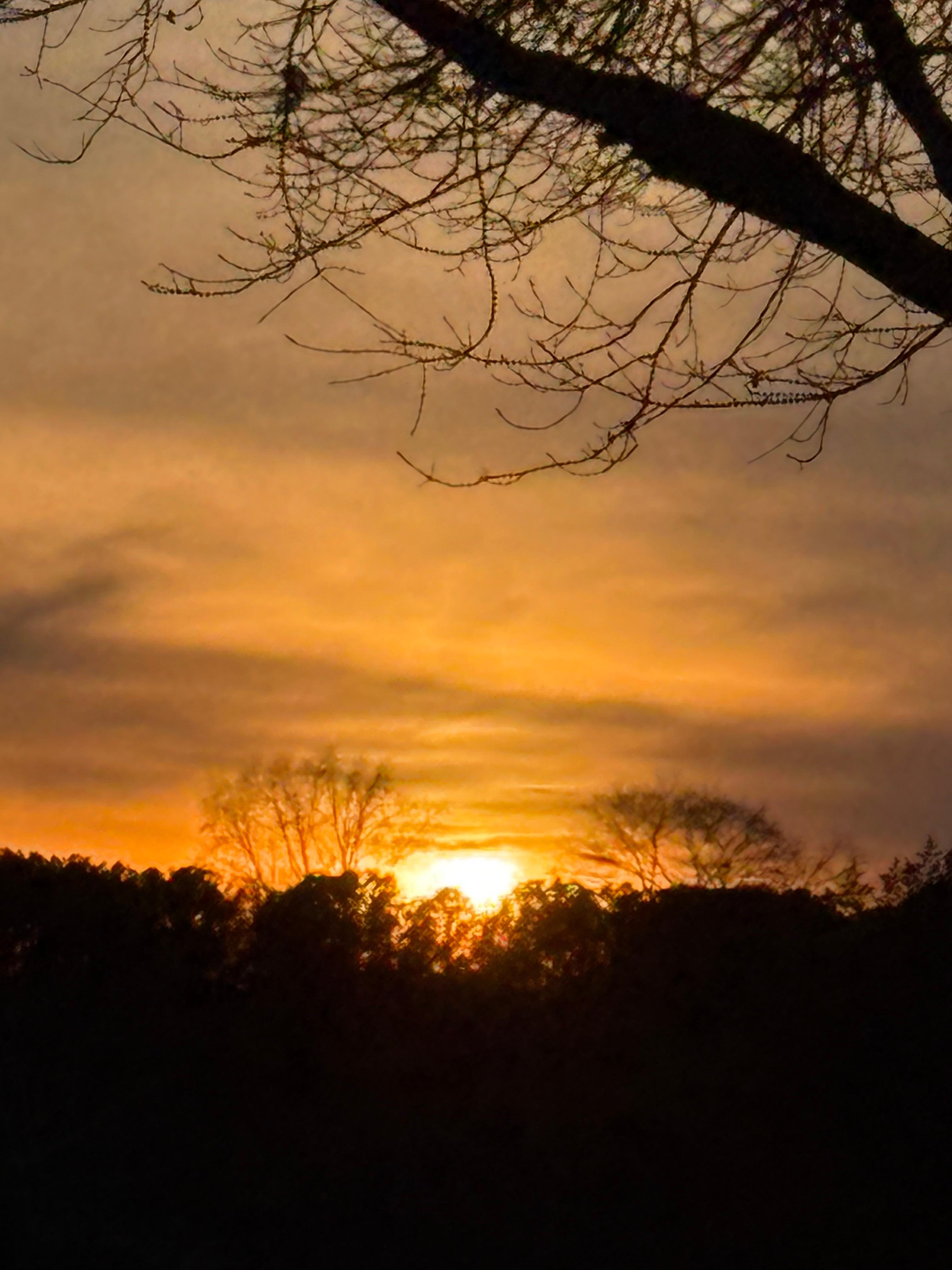 View from patio at sunset. Absolutely Breathtaking