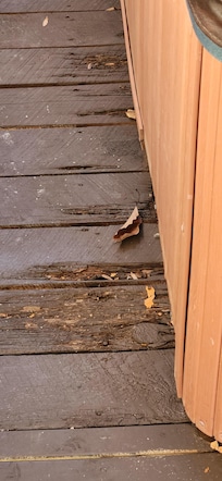 Floor that holds hot tub is rotting.
