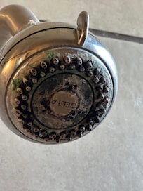 Shower Head Rot