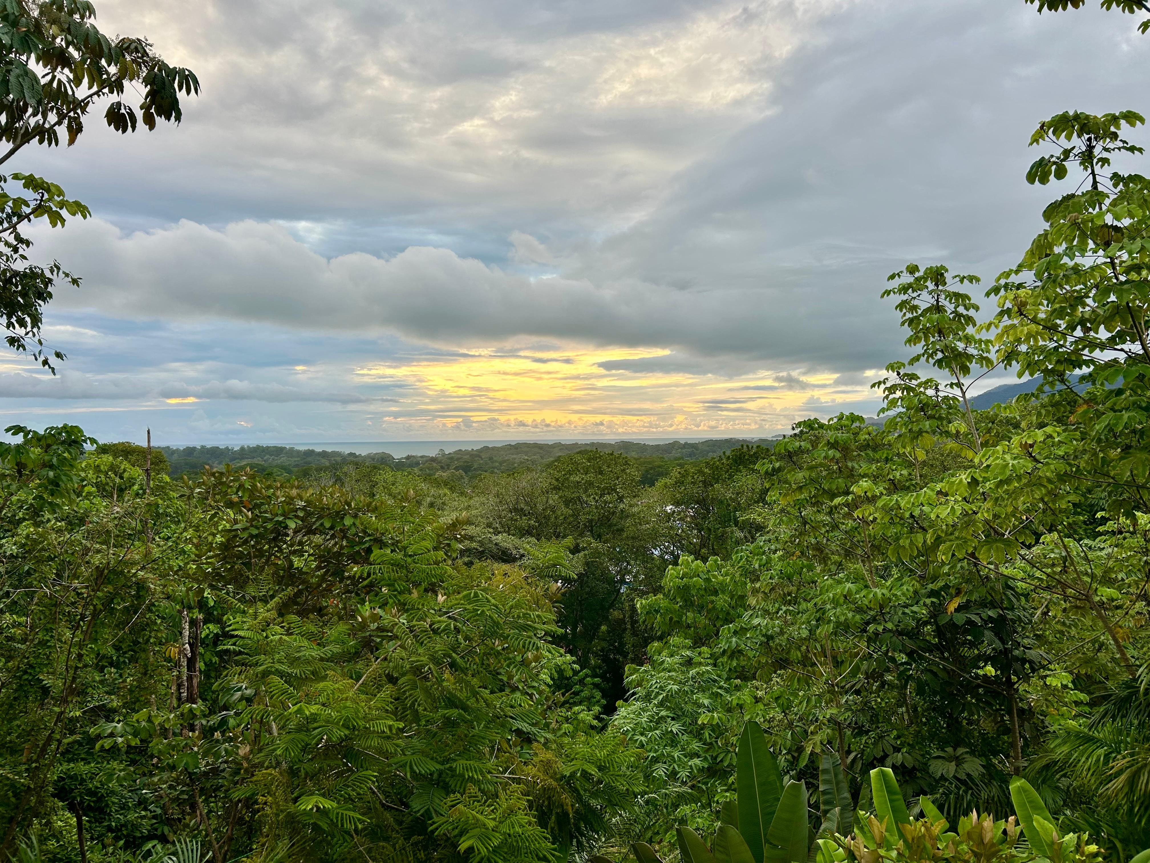 A gorgeous rainy season sunset! 