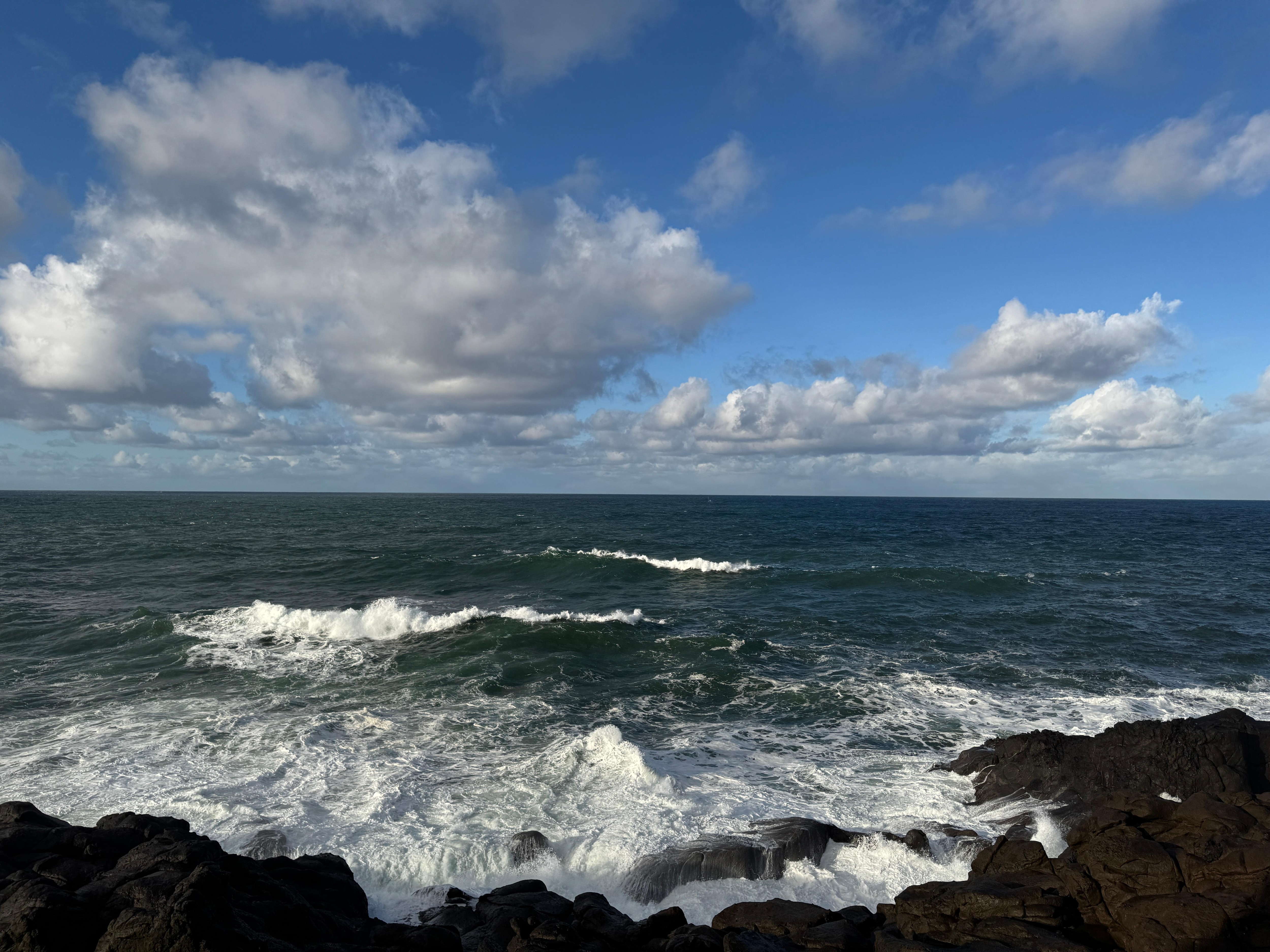 Day after the gale winds