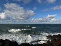 Day after the gale winds