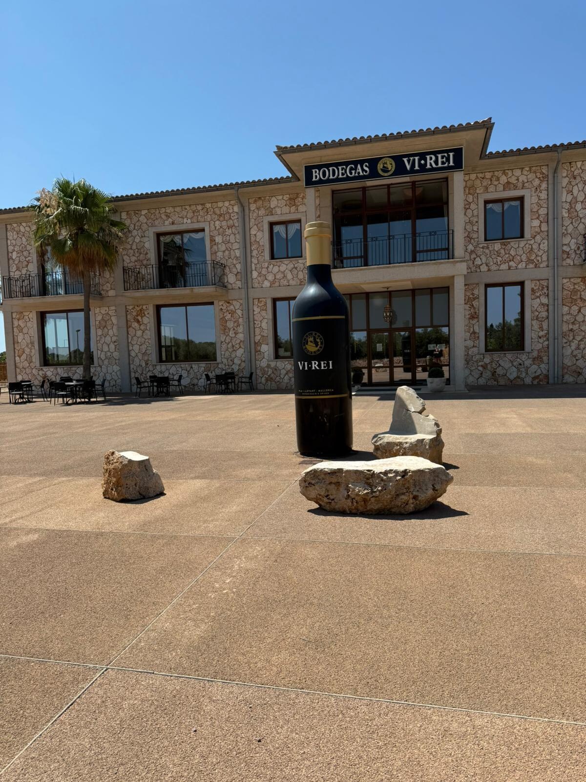 Bodegas Vi Rei Vineyard