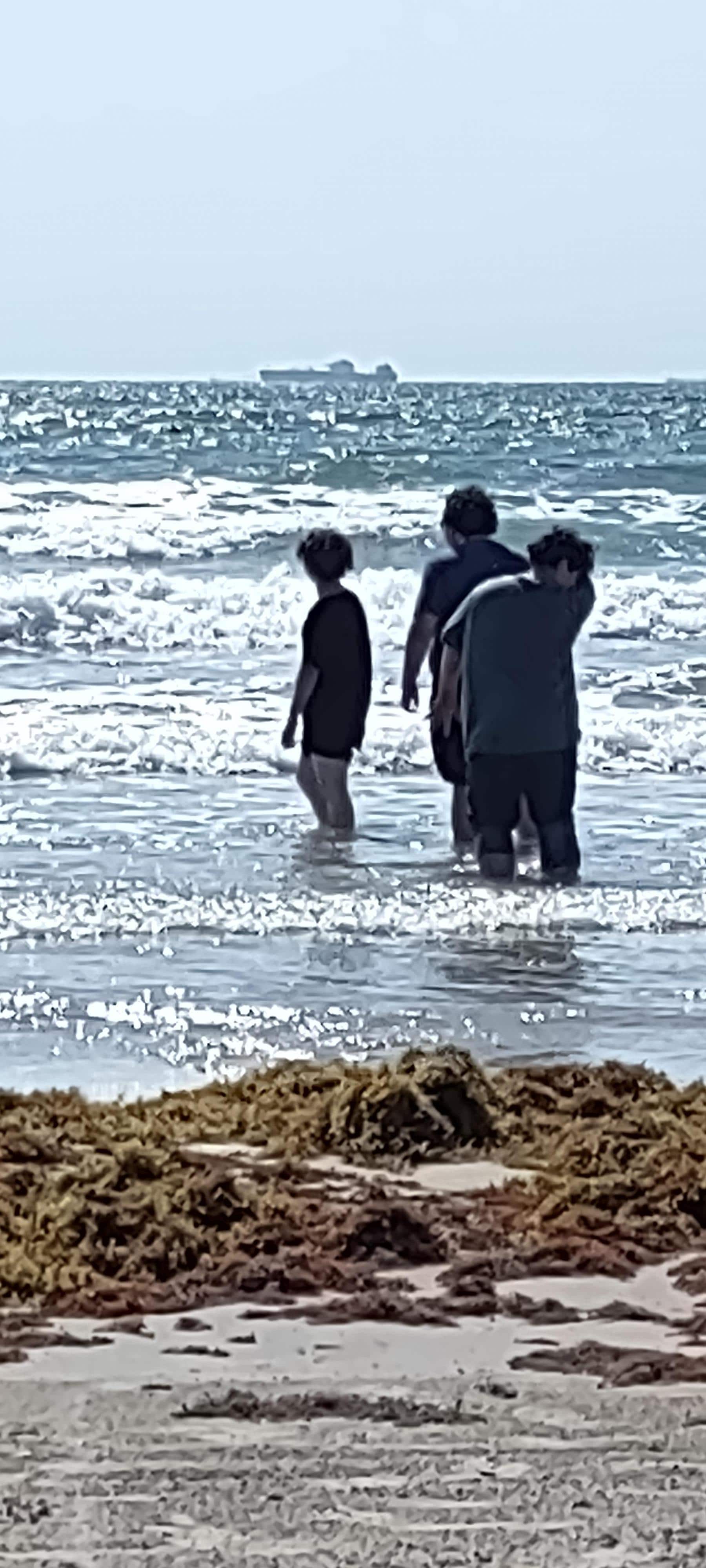 The beach
