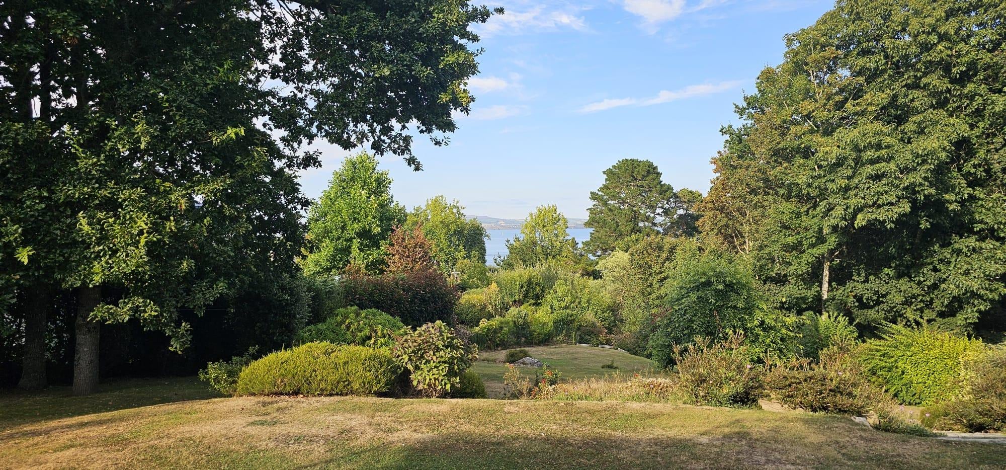 le jardin vue de la terrasse 