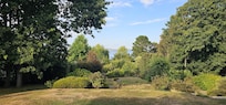 le jardin vue de la terrasse