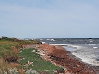 A windy morning