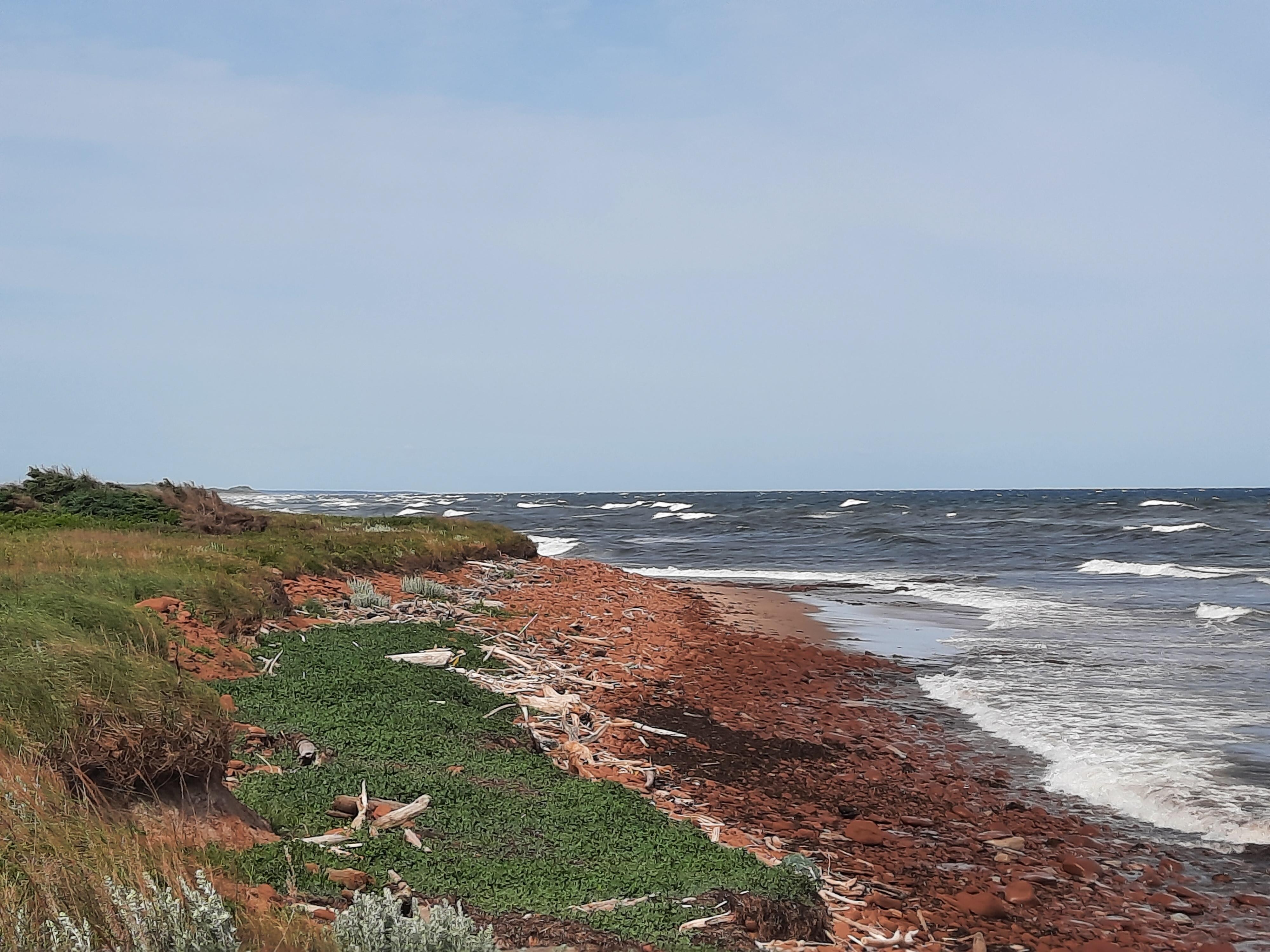 A windy morning