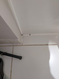 As I picked up my clothes from the fallen rack (fell right off the wall), roaches went running. These are only 2 that I snapped after grabbing my phone