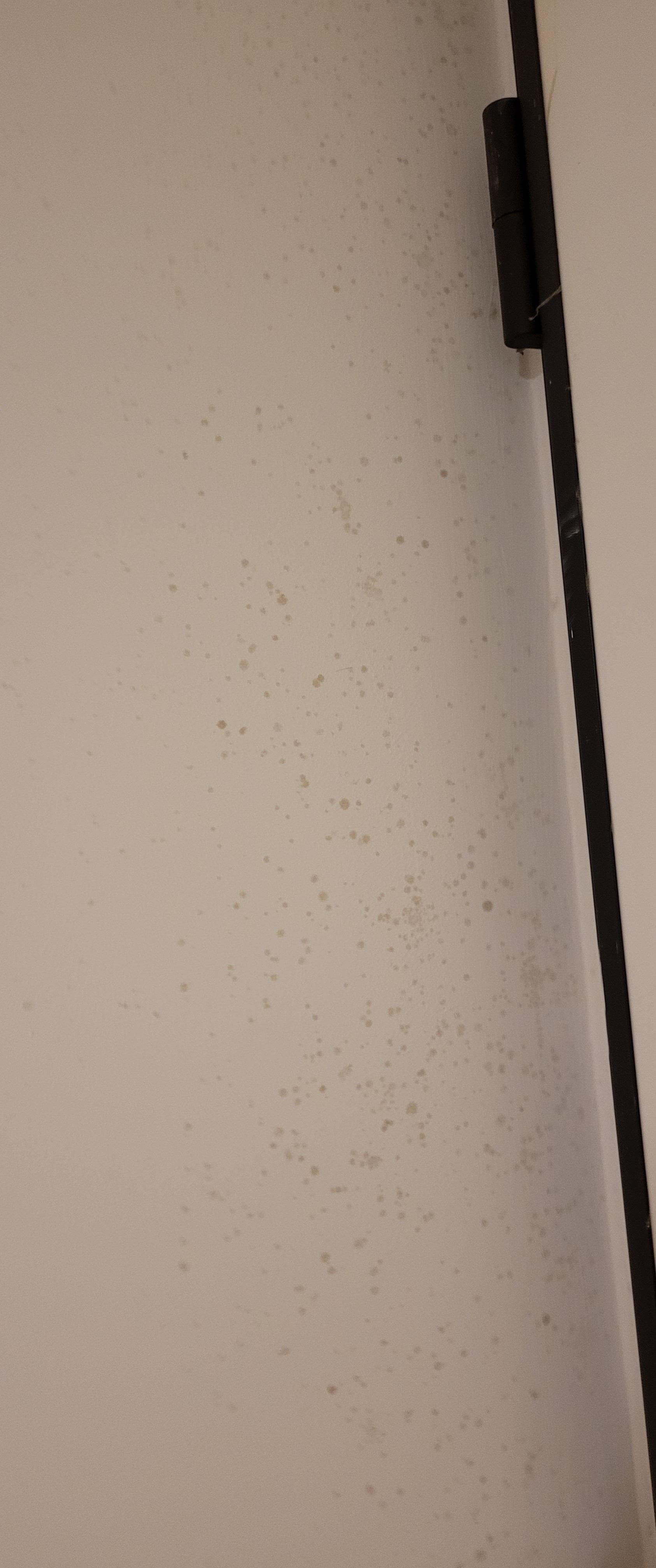 Wall stains