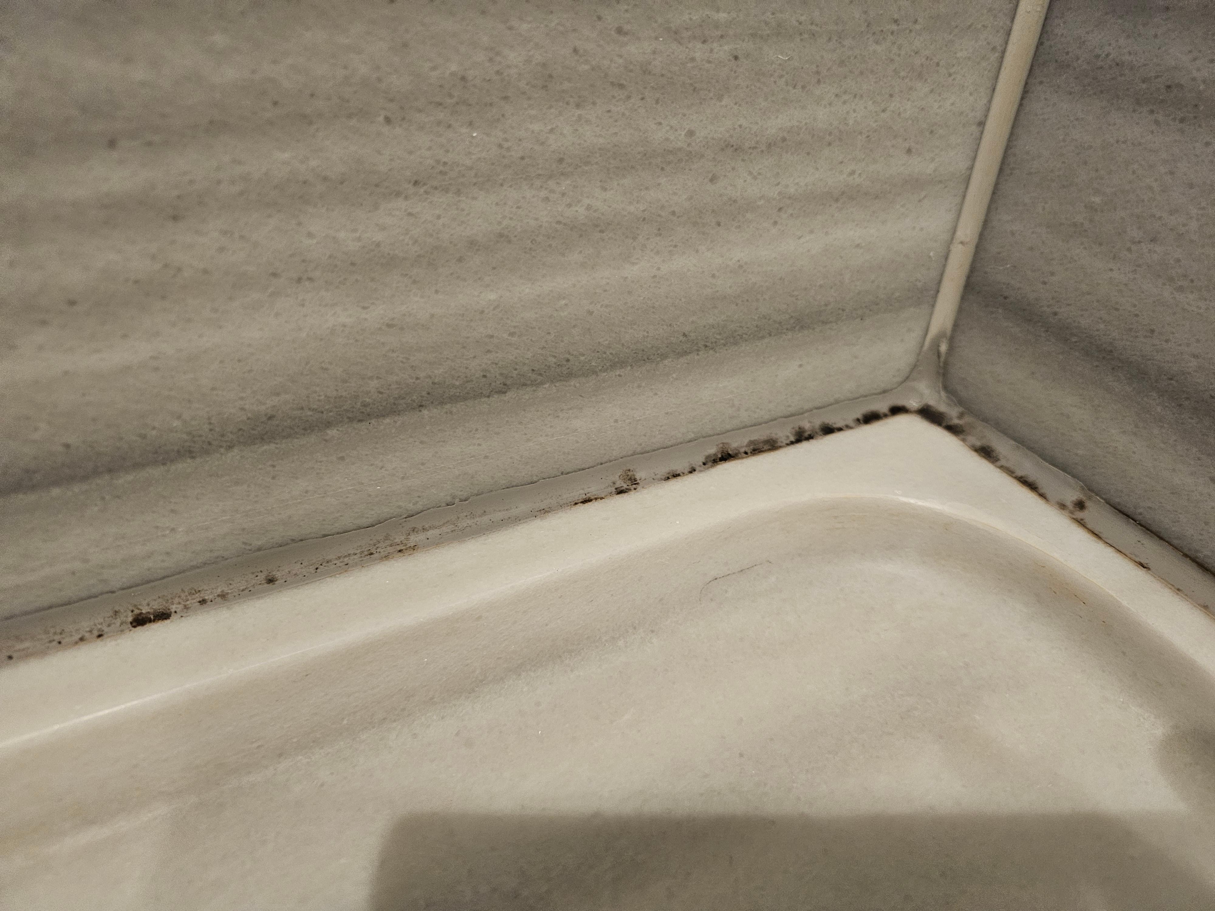Moldy shower