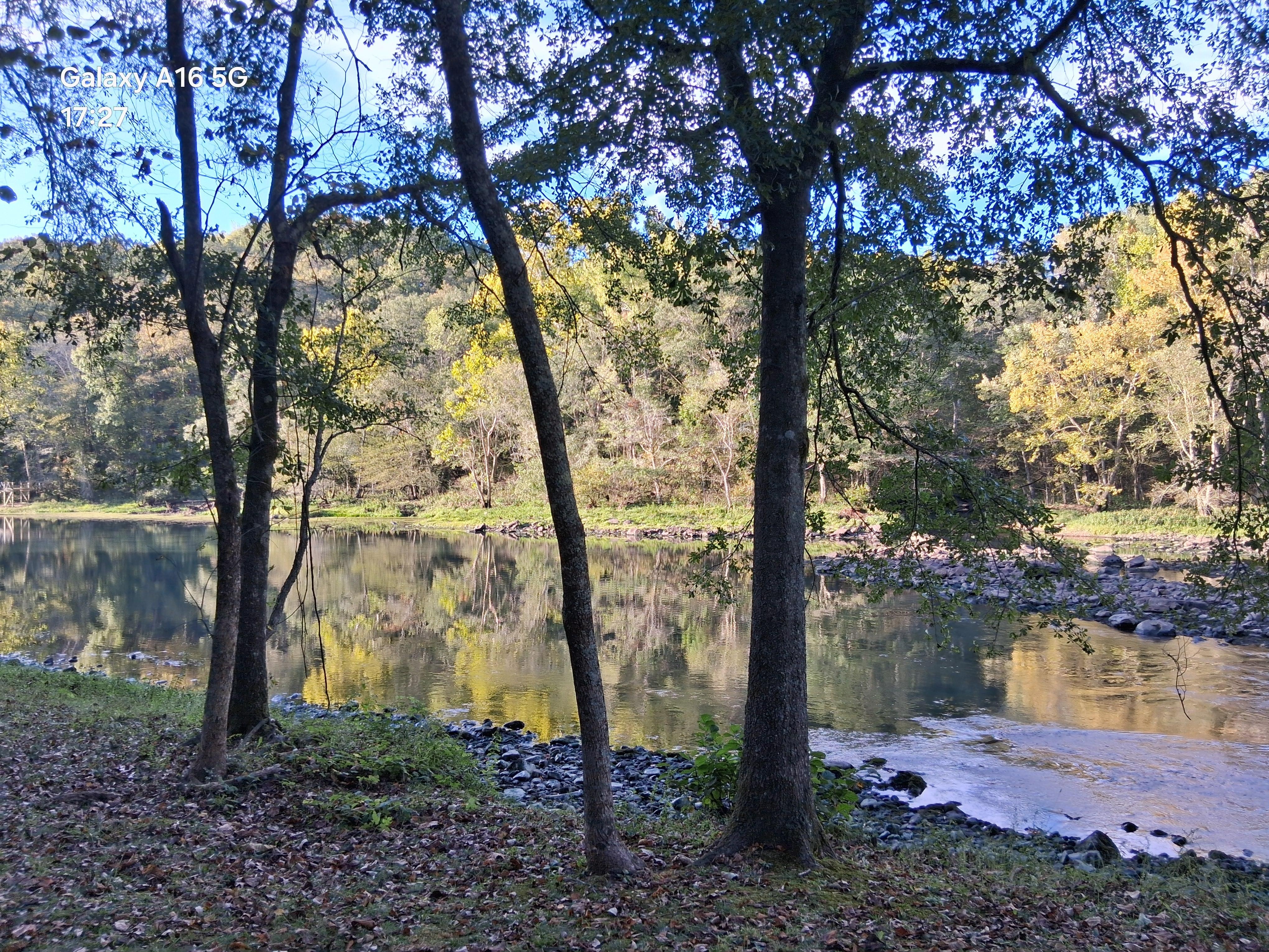 Sunset. Fish were jumping out this evening. Nature was the big event!