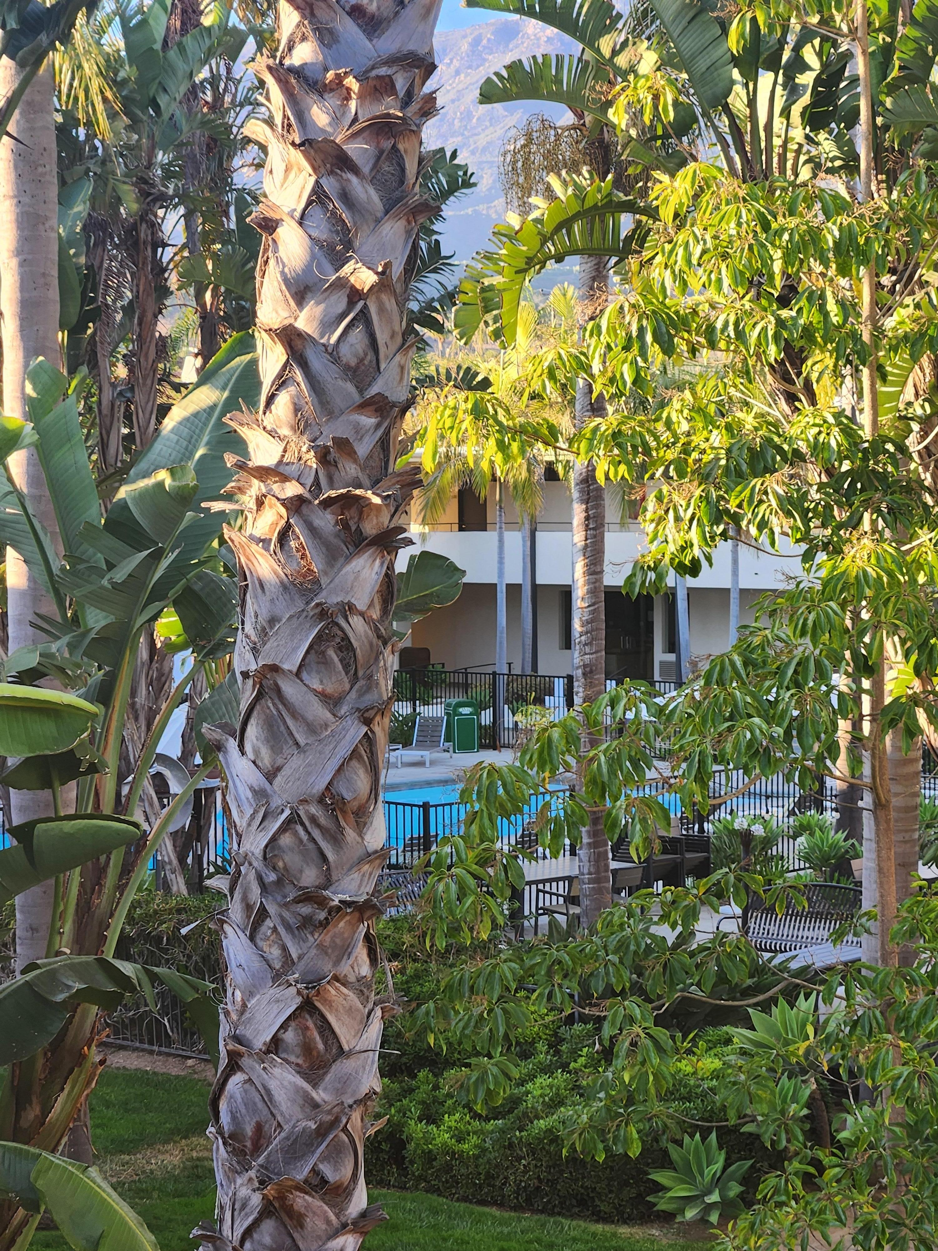 Looking out the balcony 