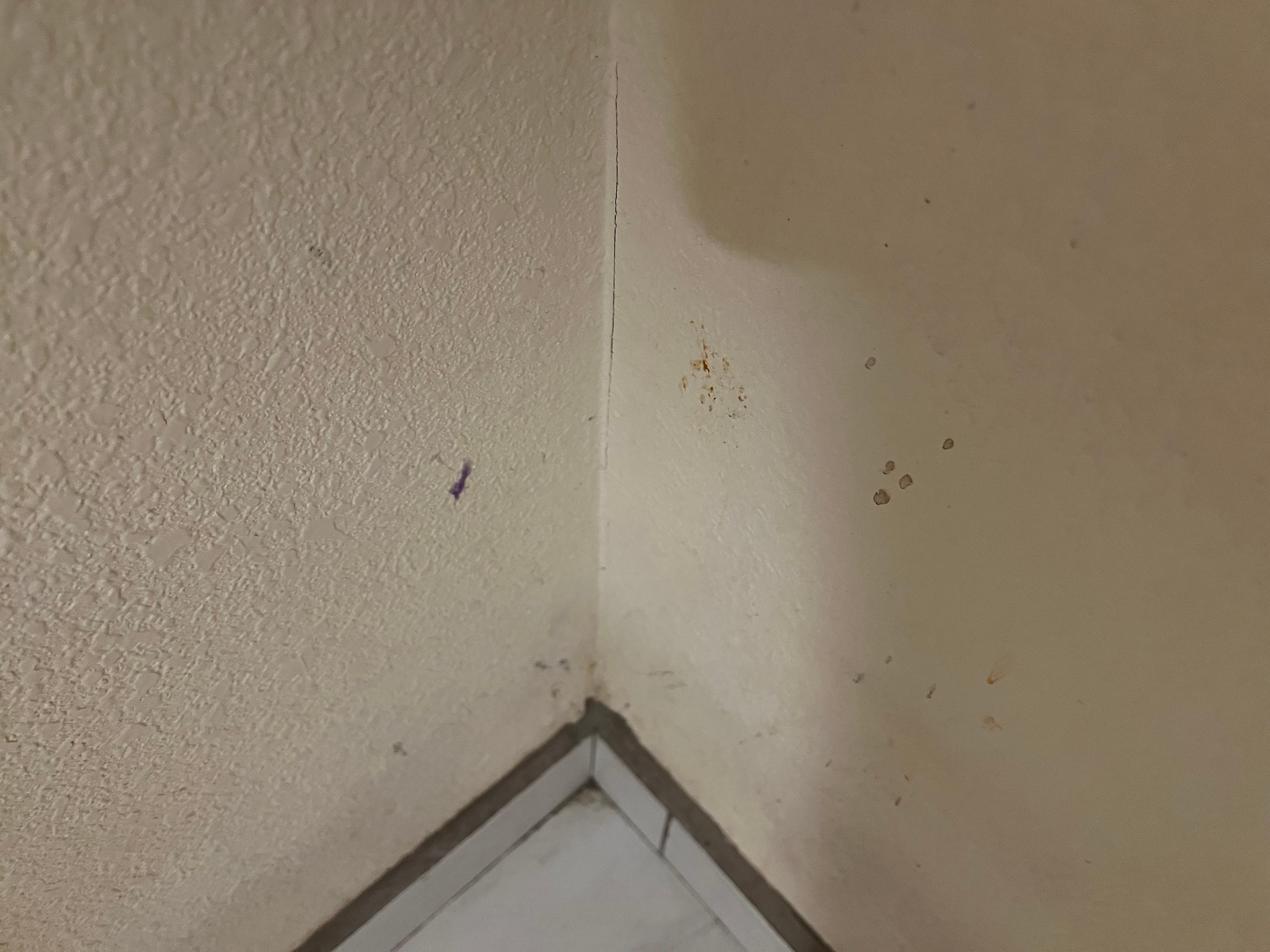 Boogers on the wall 
