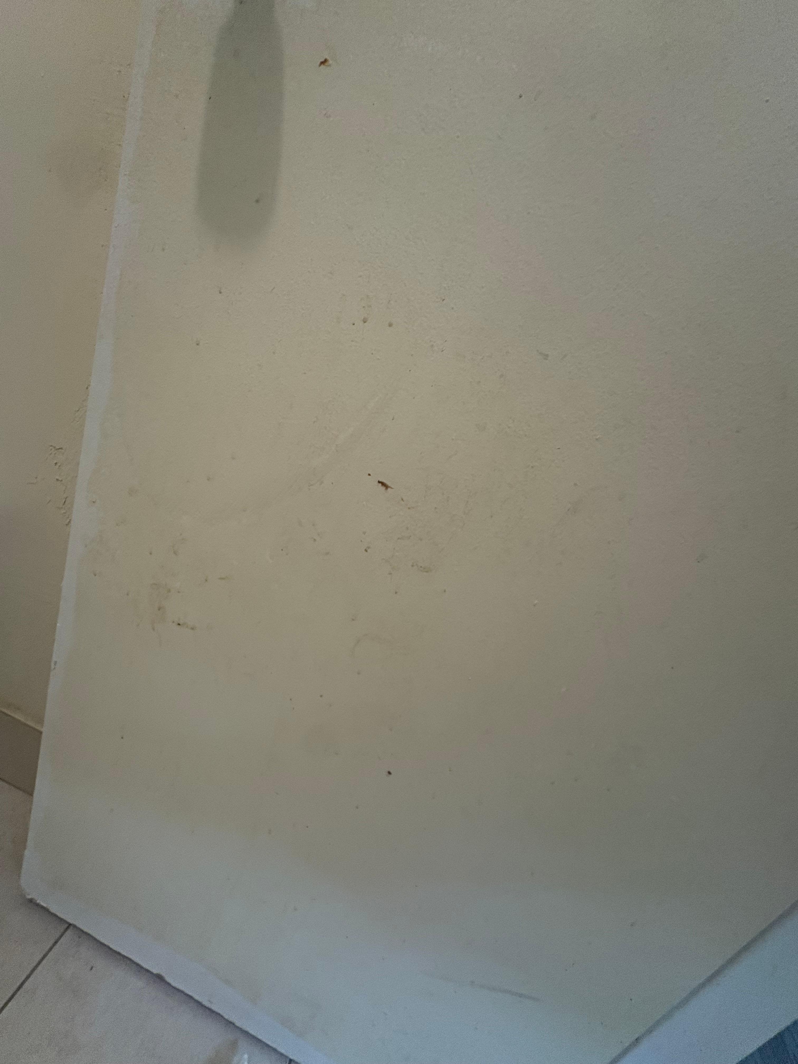 Boogers wiped on bathroom door