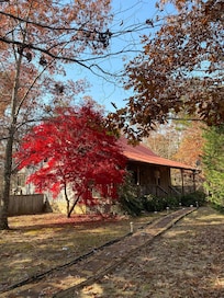 Beautiful tree on property.
