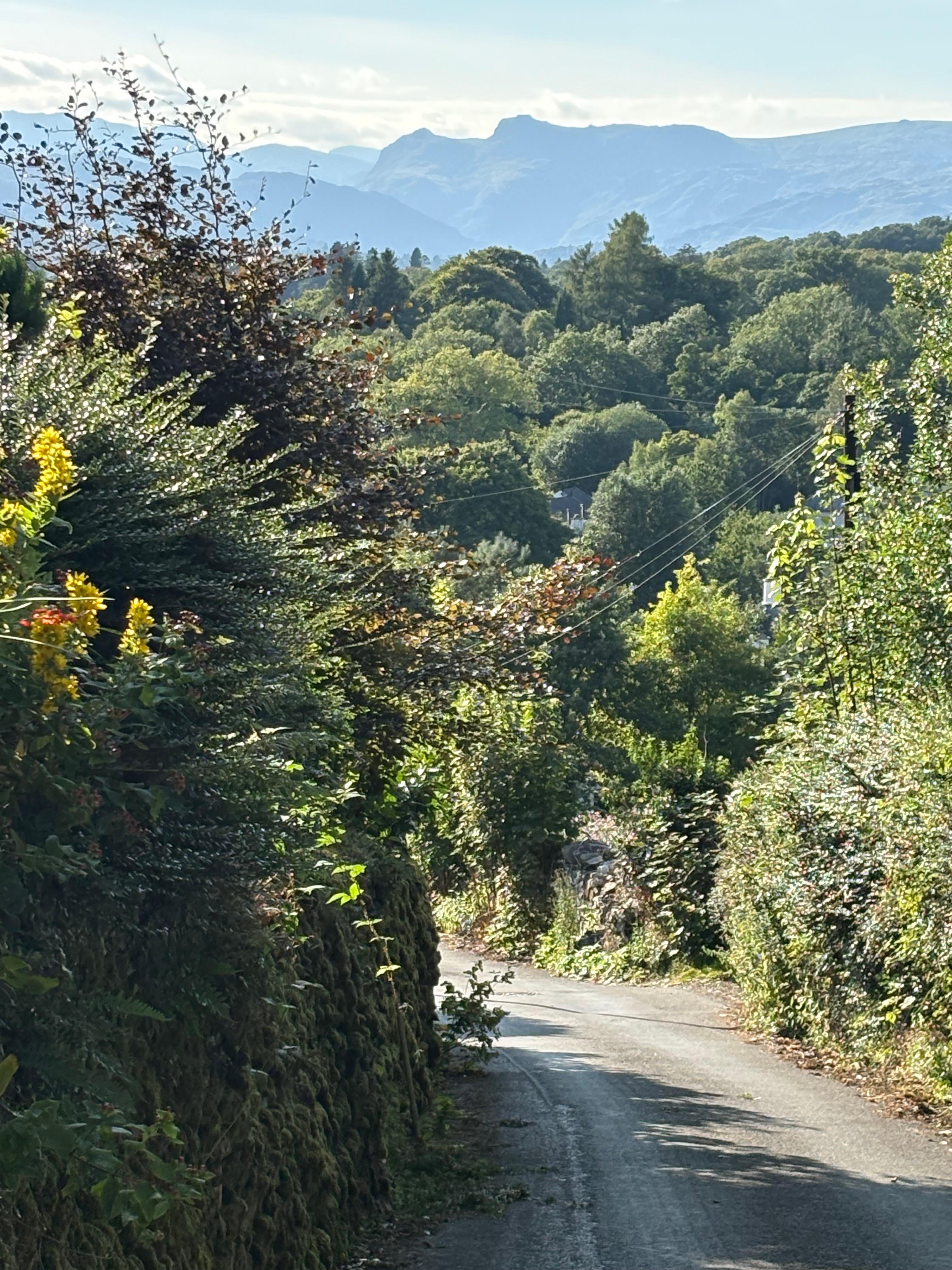 Walk within 5 minutes of cottage