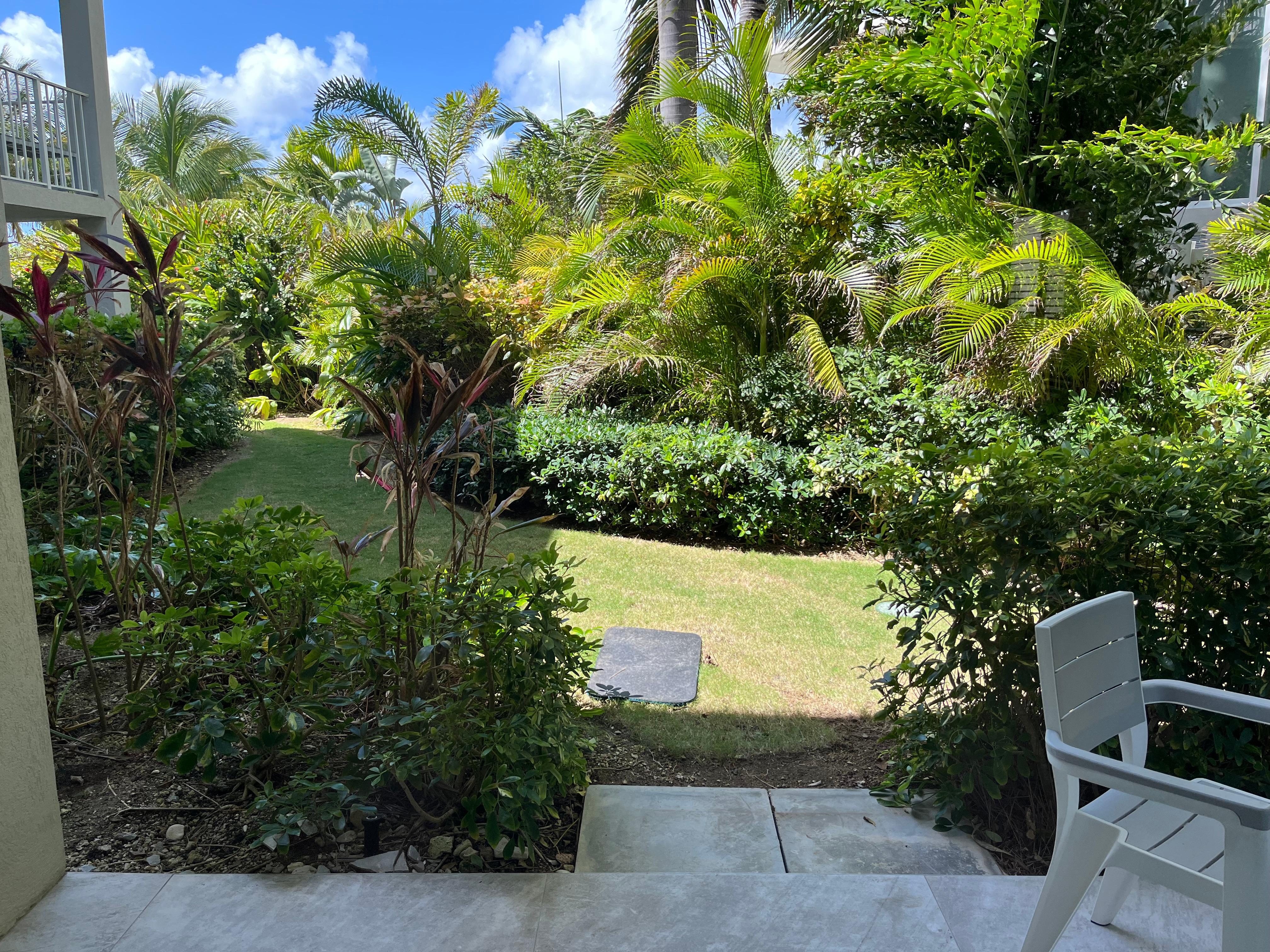 garden view from condo patio
