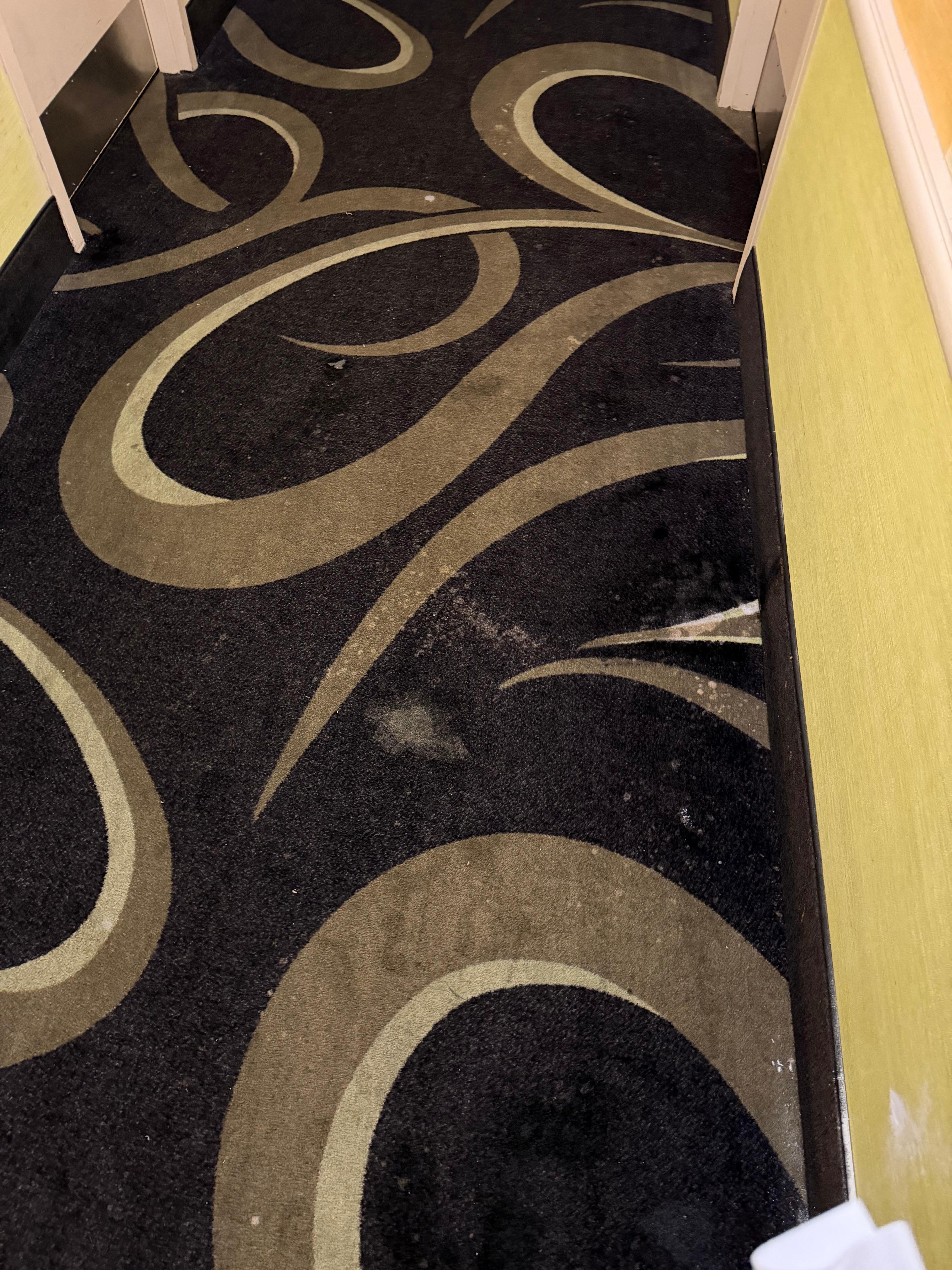 Stains on carpets in and outside of the room