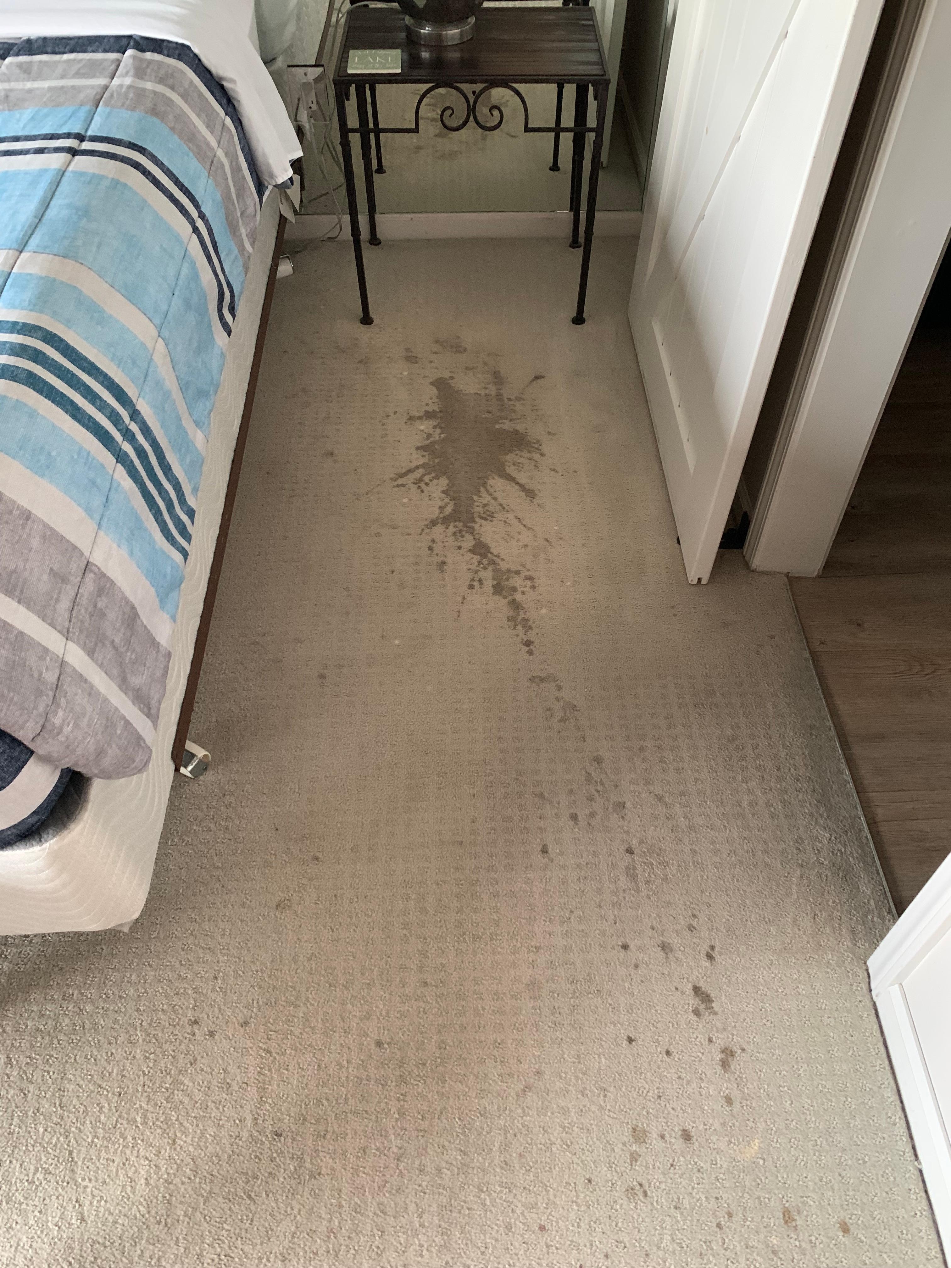 this is just gross...there were others too...