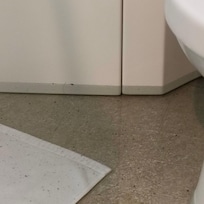 この水位まで逆流。黒い粉状のカスが配管からの逆流とわかる。