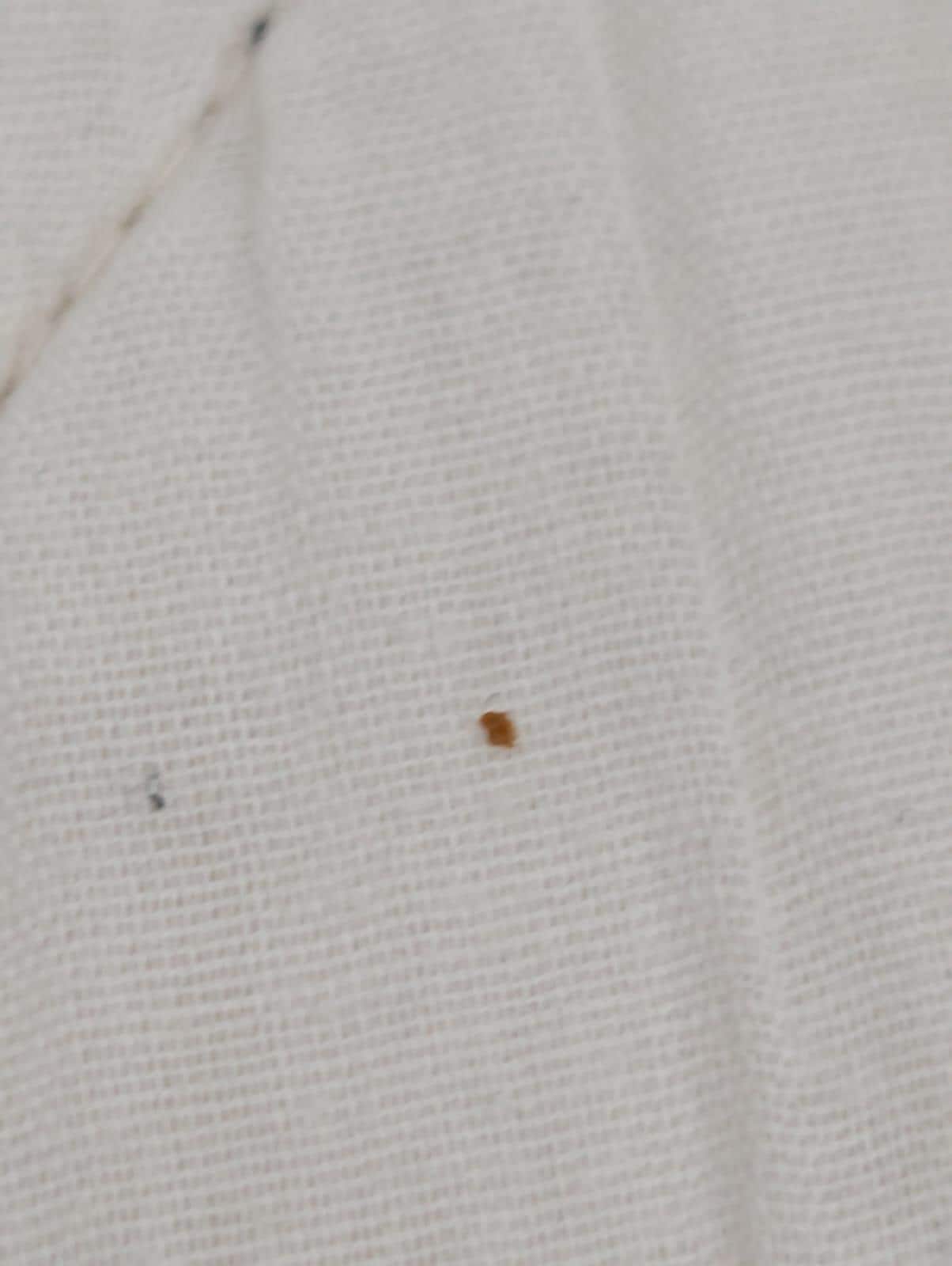 More Bed Bugs 