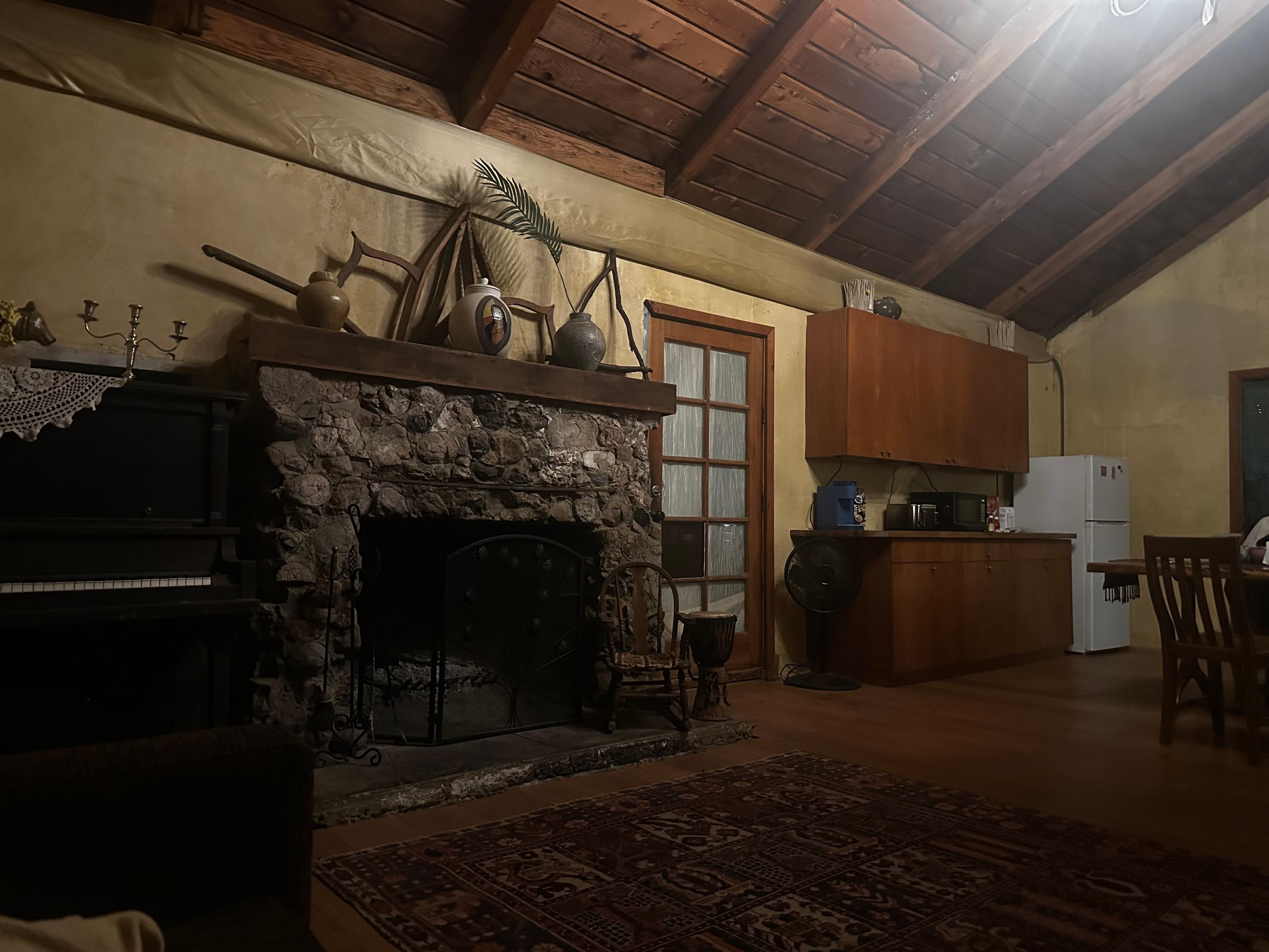 Wood burning fire place