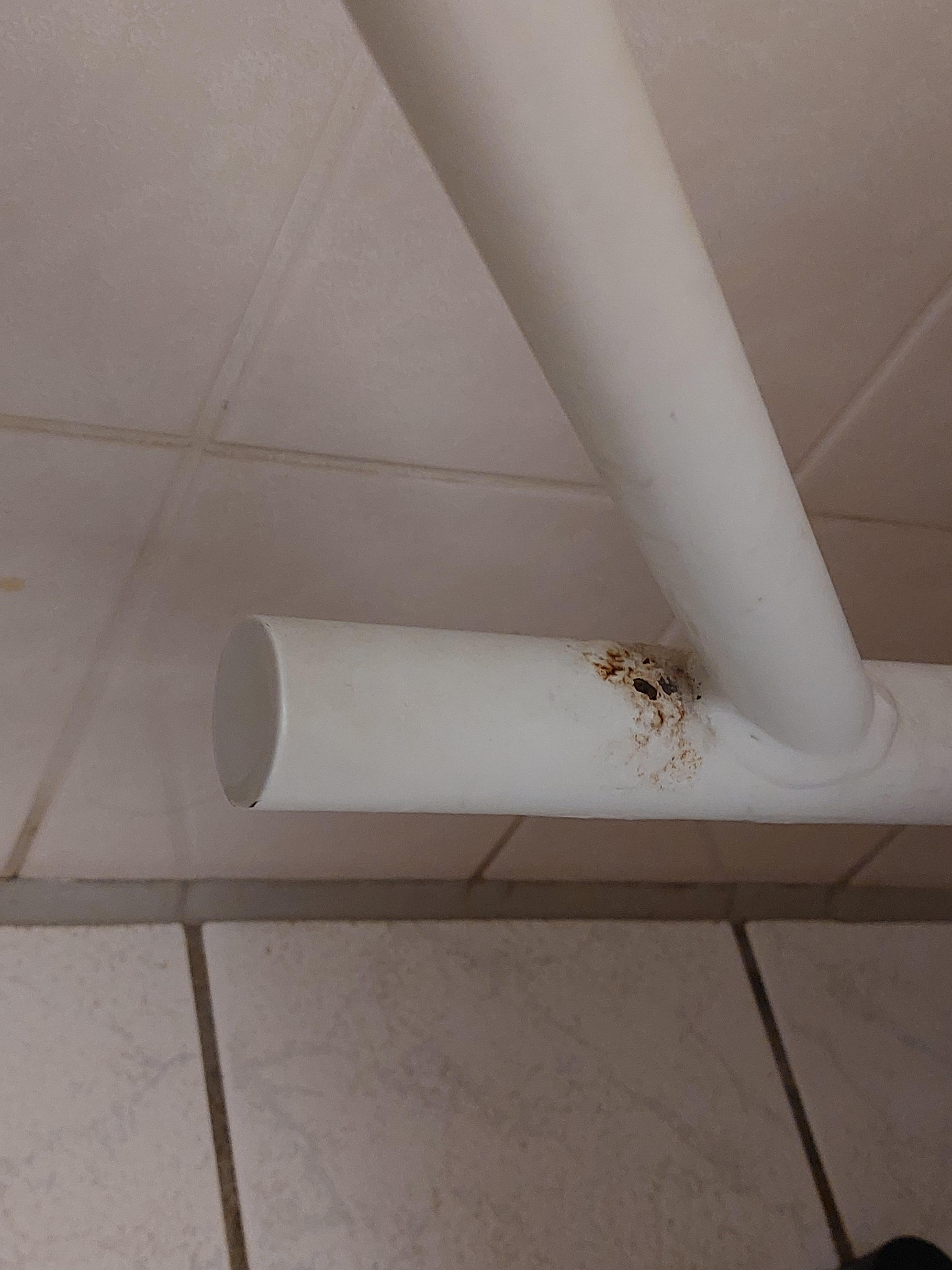 Heated towel rail rust.