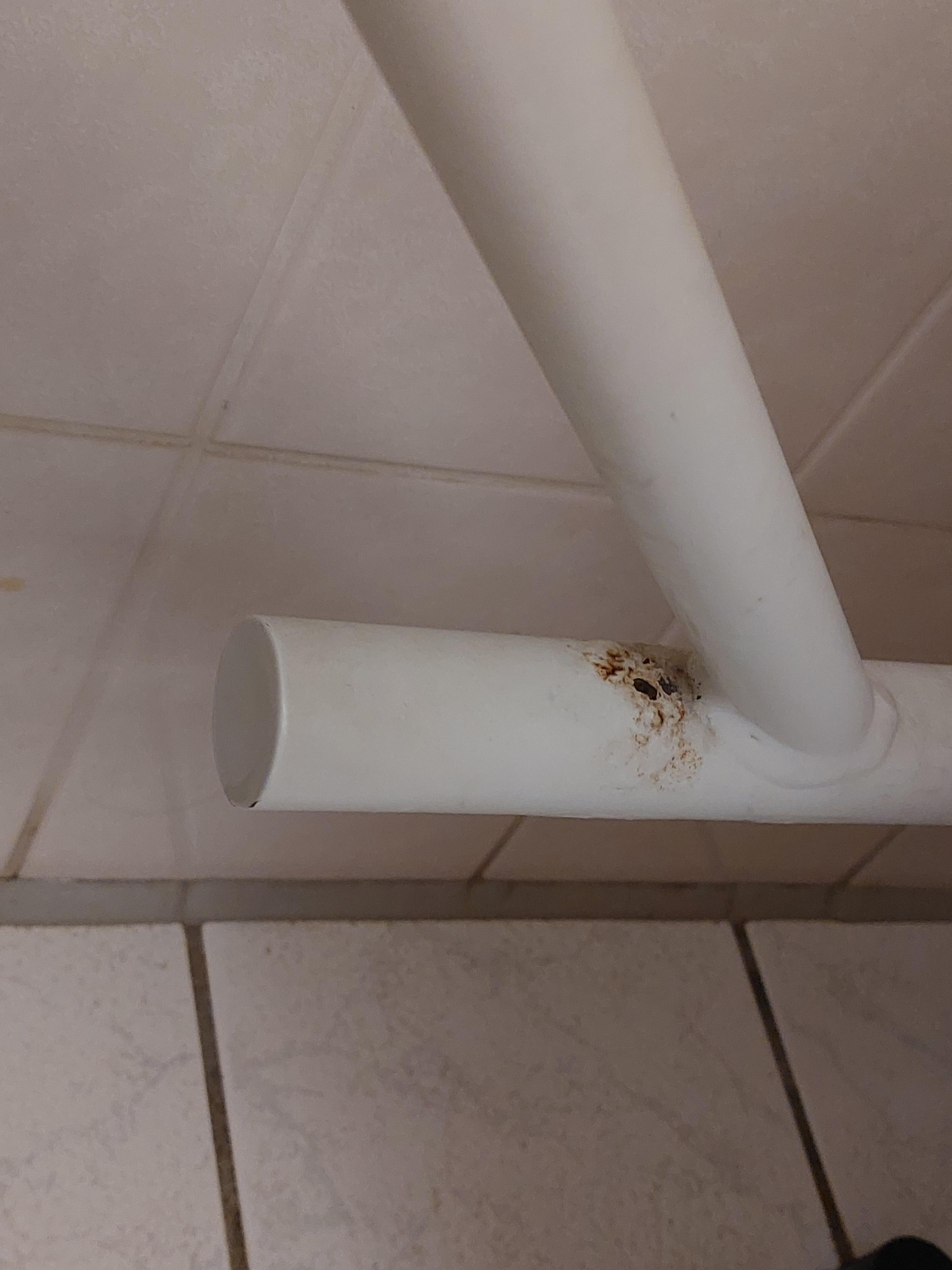 Heated towel rail rust.