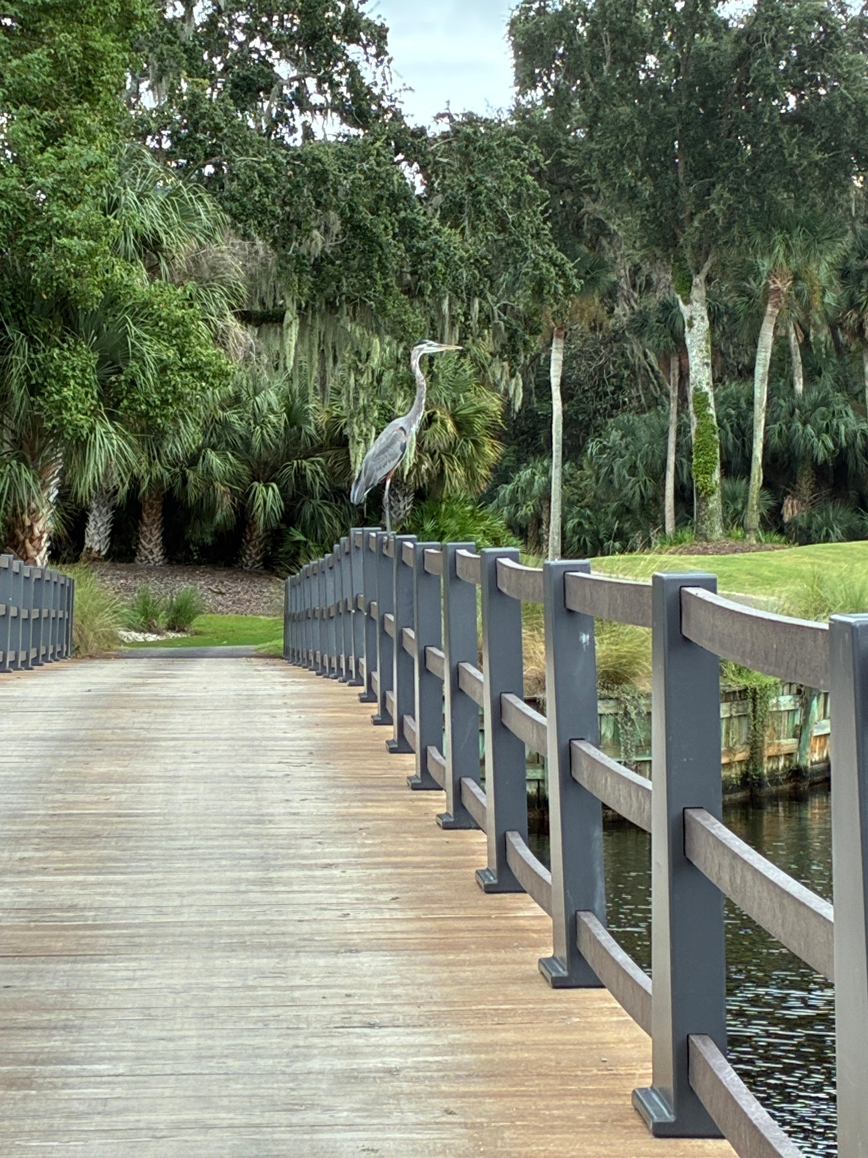 Crane on Arthur Hill Course