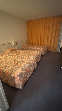 Moquette limite hygiène horrible