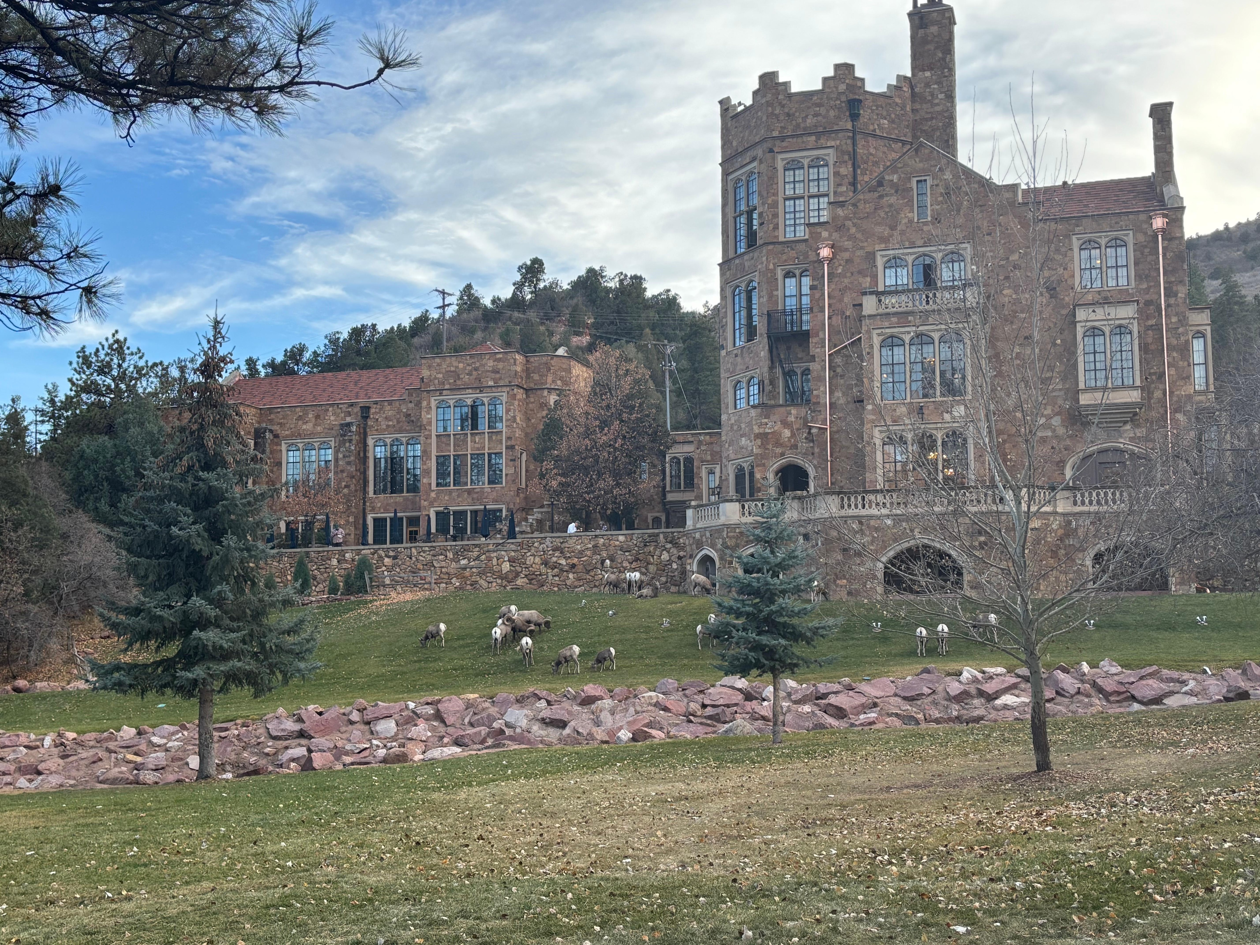 Castle w Big Horn Sheep