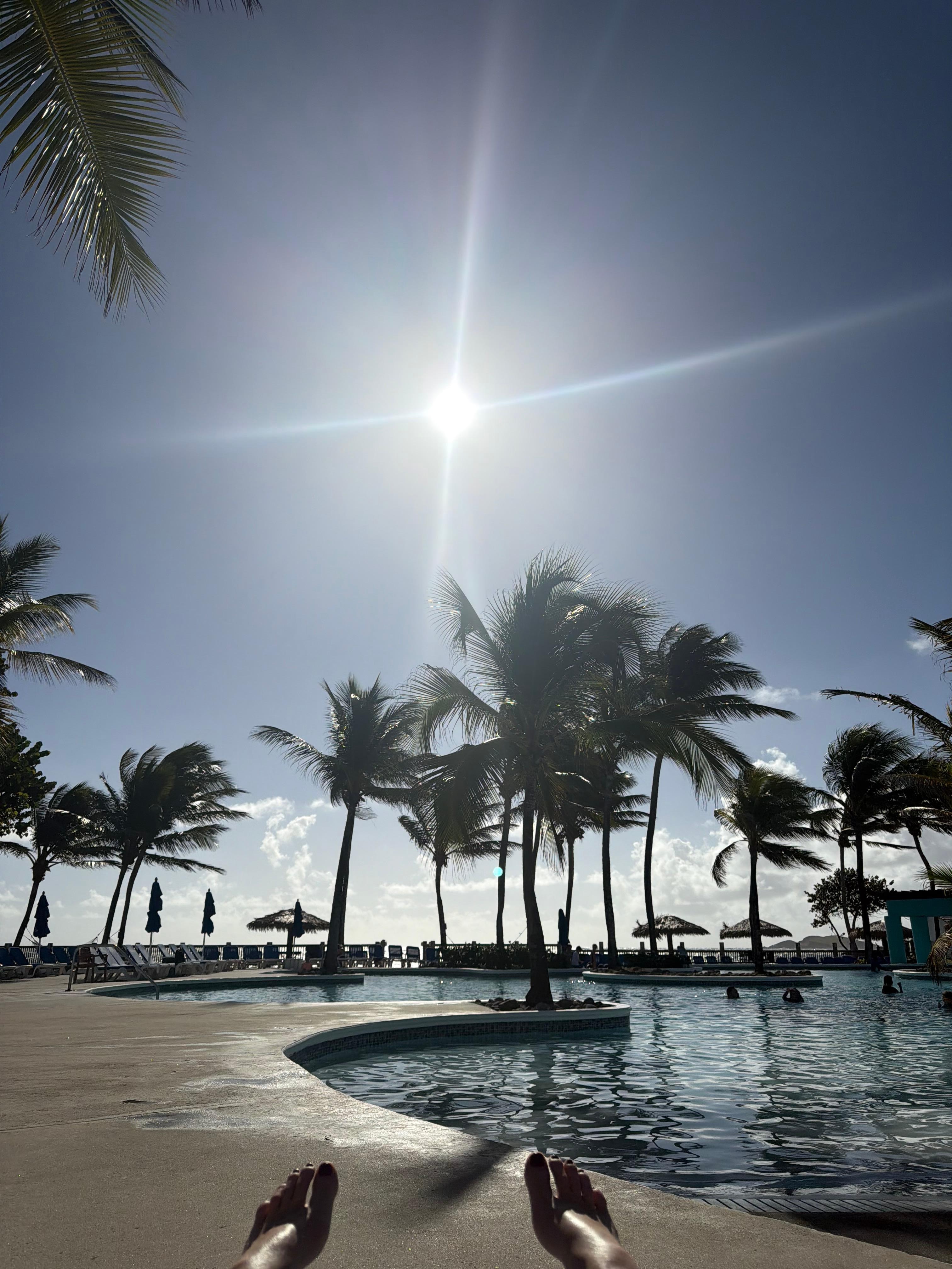 Before the daily clean up. Jan 2026