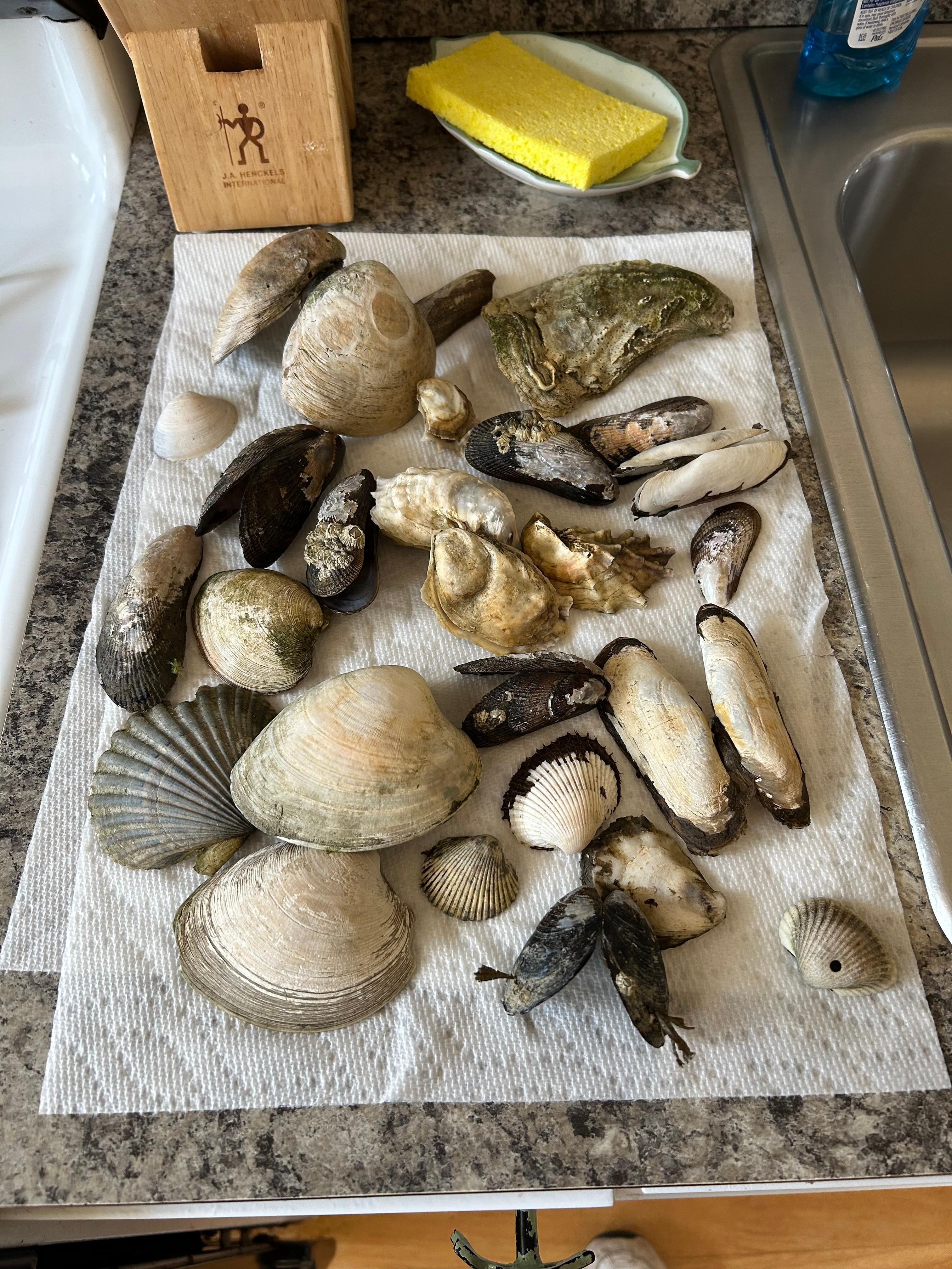 Various treasures found nearby on Monks Beach.