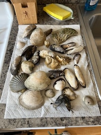 Various treasures found nearby on Monks Beach.
