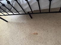 Stains in second bedroom carpet