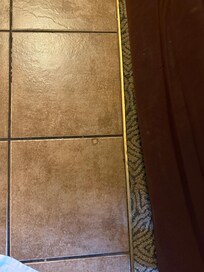 Old bandage on the floor