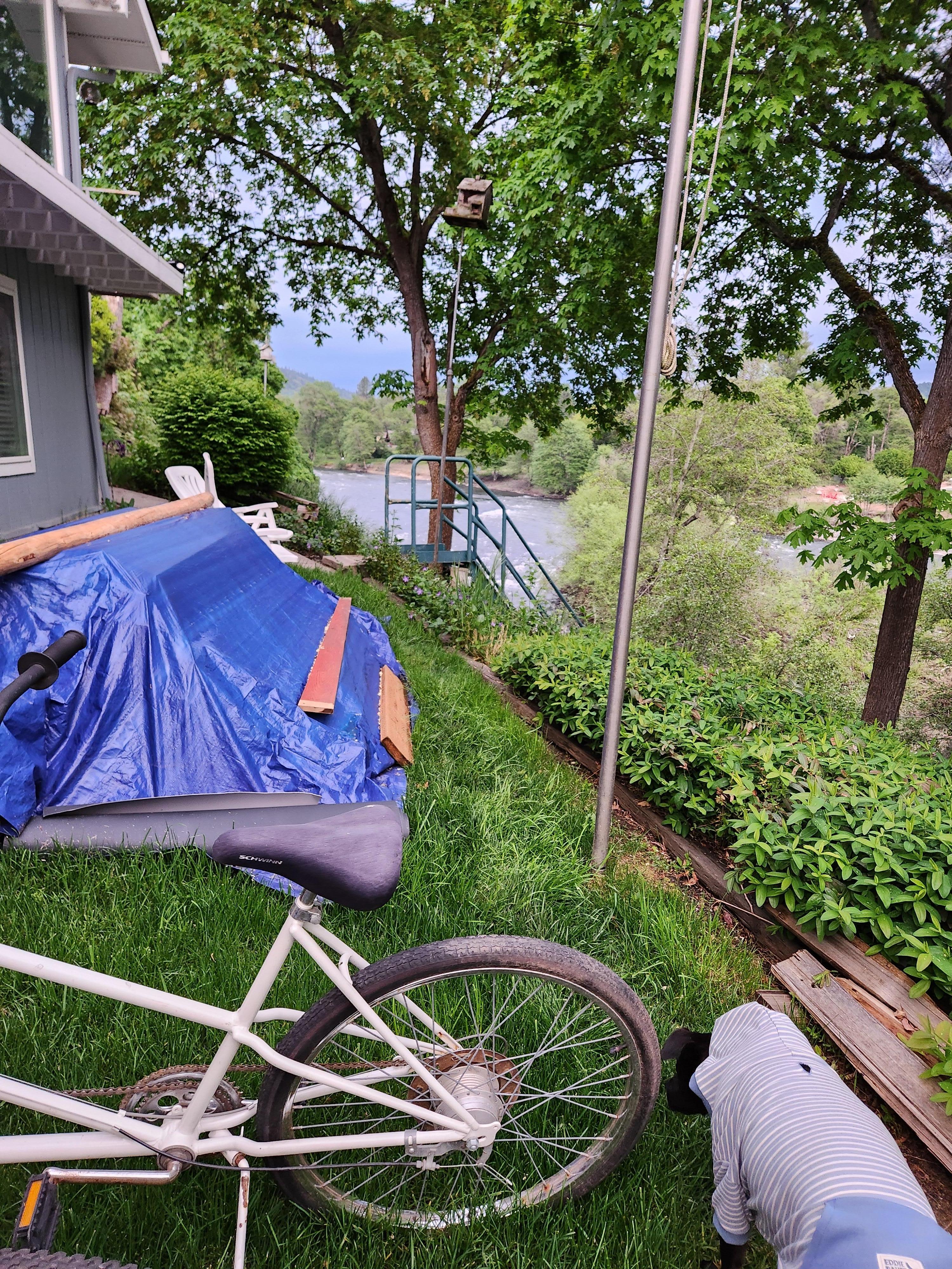 To the right of these bushes is the river. There is no fence despite property being open to young children.