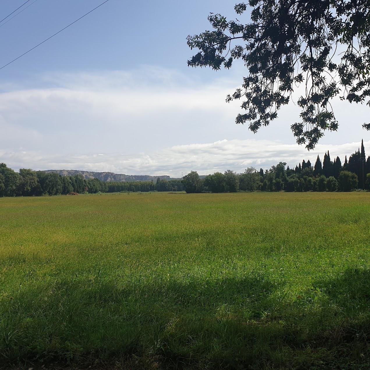 au milieu des champs, calme assuré.