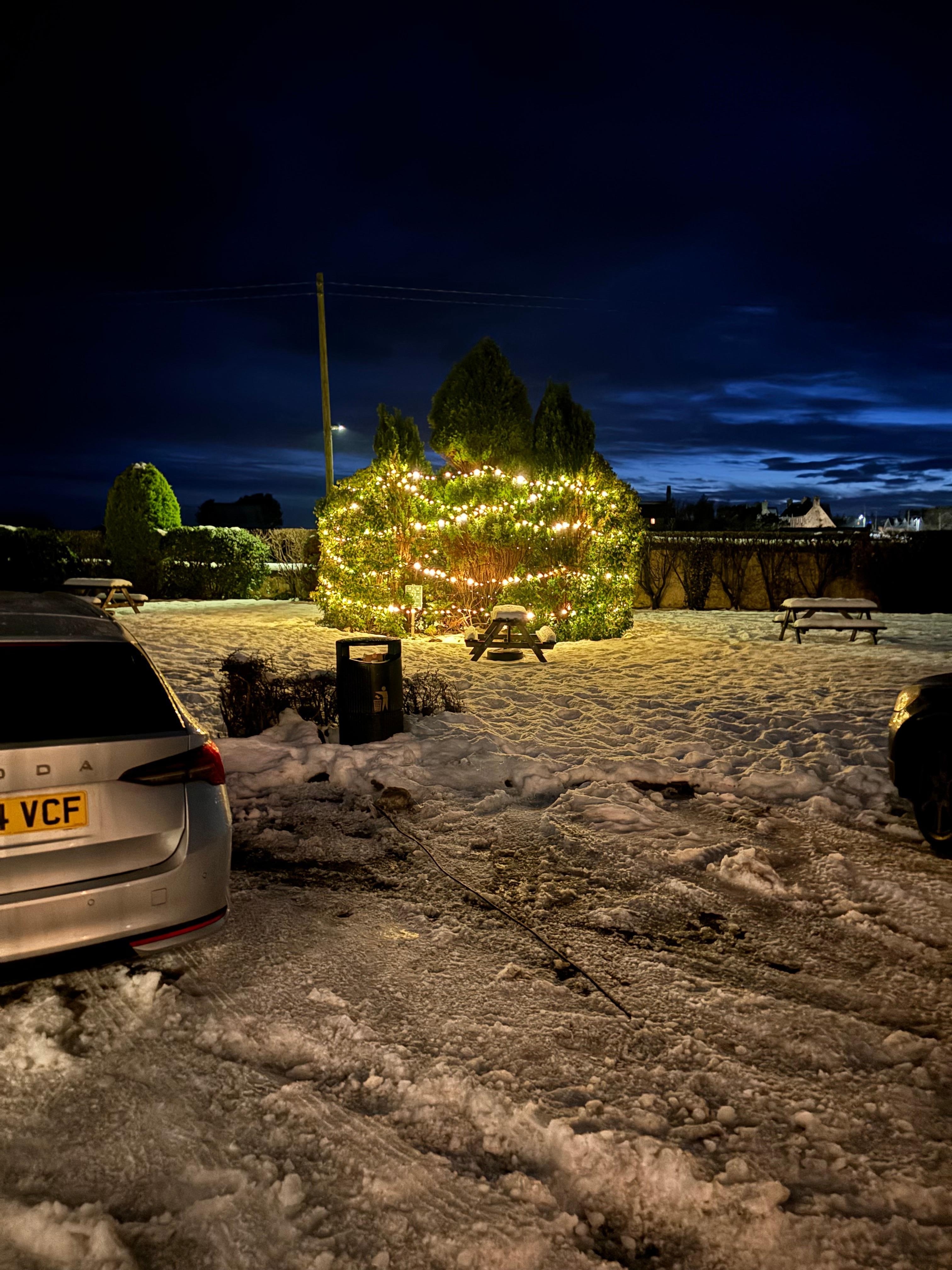 Garden area outside main entrance 