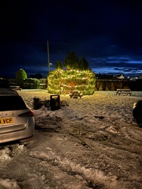 Garden area outside main entrance