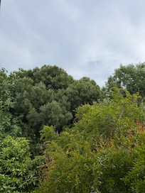 Odamızın manzarası