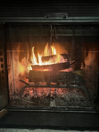 Great fireplace… with wood supplied!
