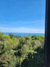 View from bathroom