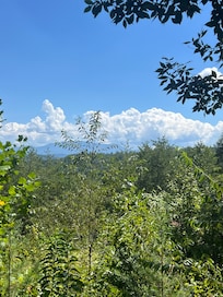 View of Mt LeConte from deck
