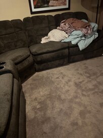 These are supposed to be the extra linings. Not folded or fresh just sitting on the couch where others have been sitting. NOT Sanitary.
