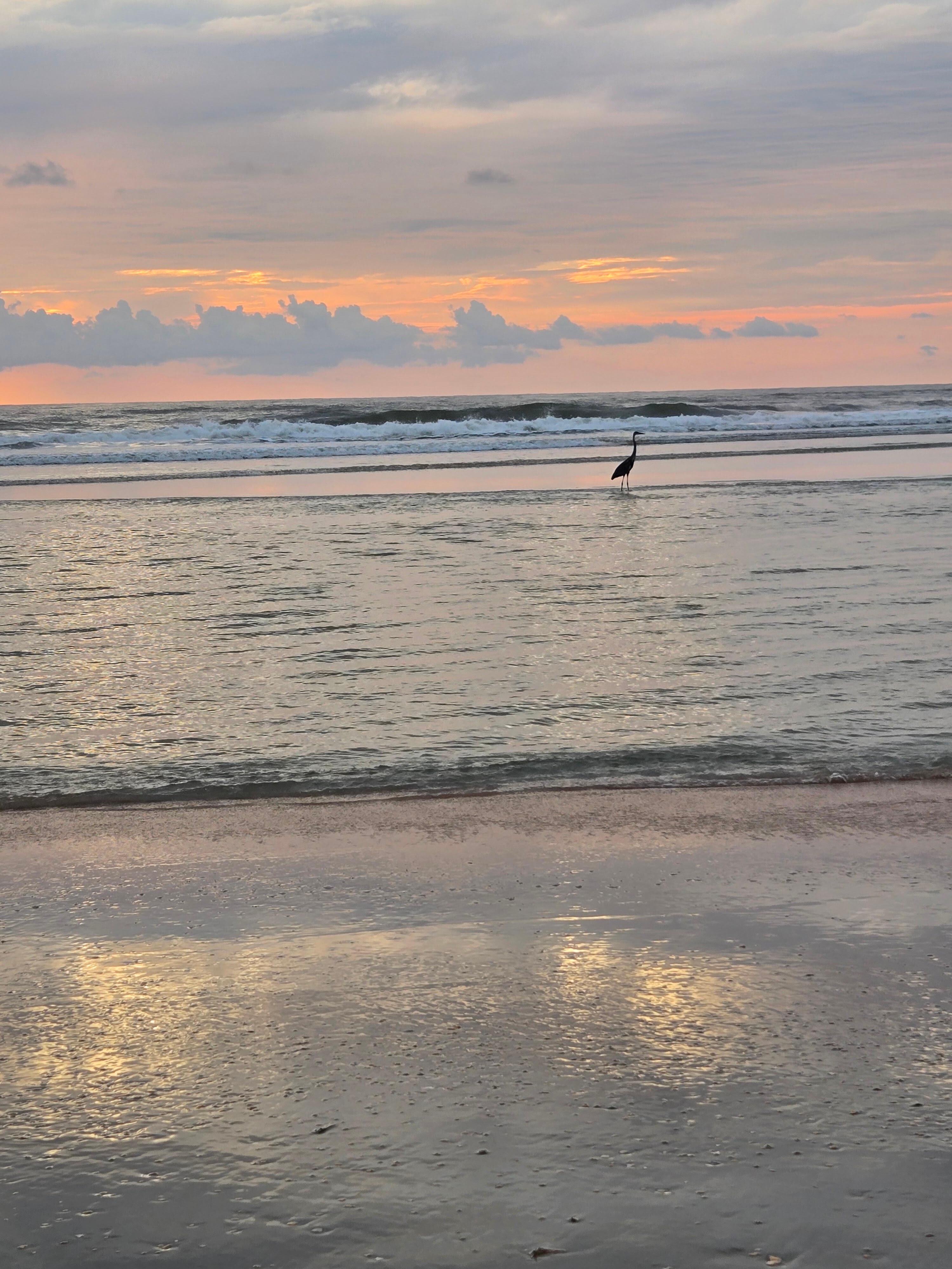 Beautiful Sunrises...