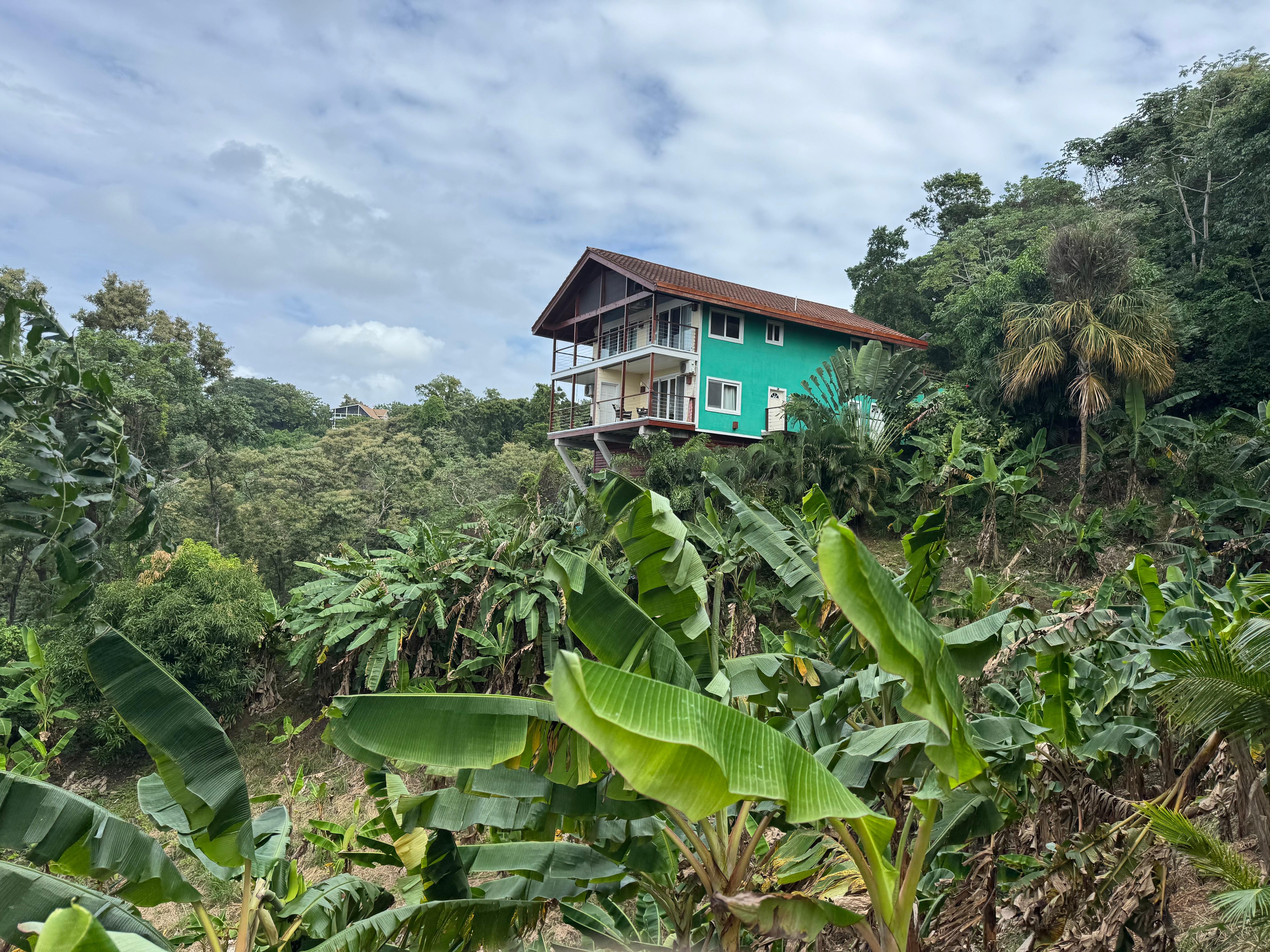 Lush and green. 