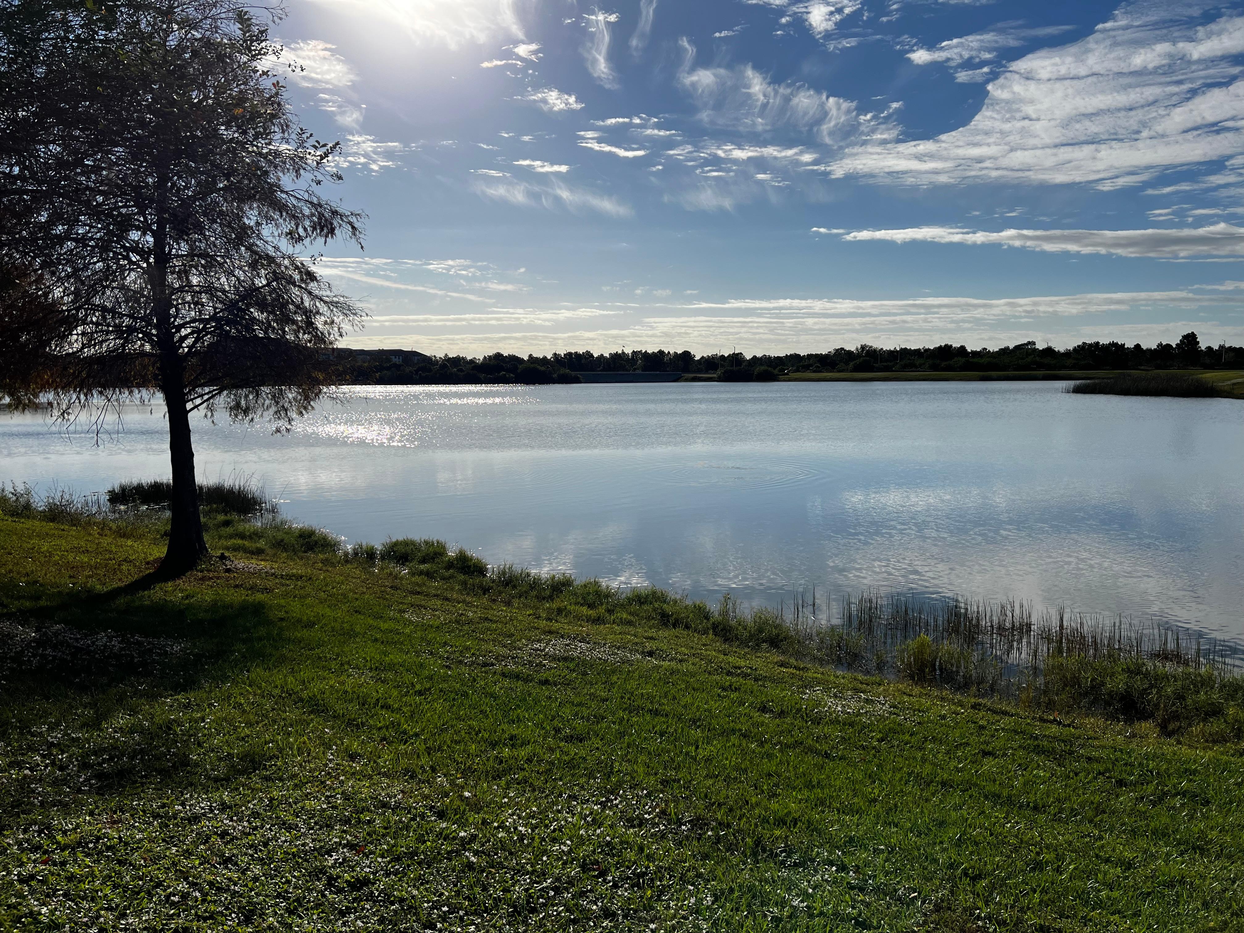 Property backyard Trail View 👍