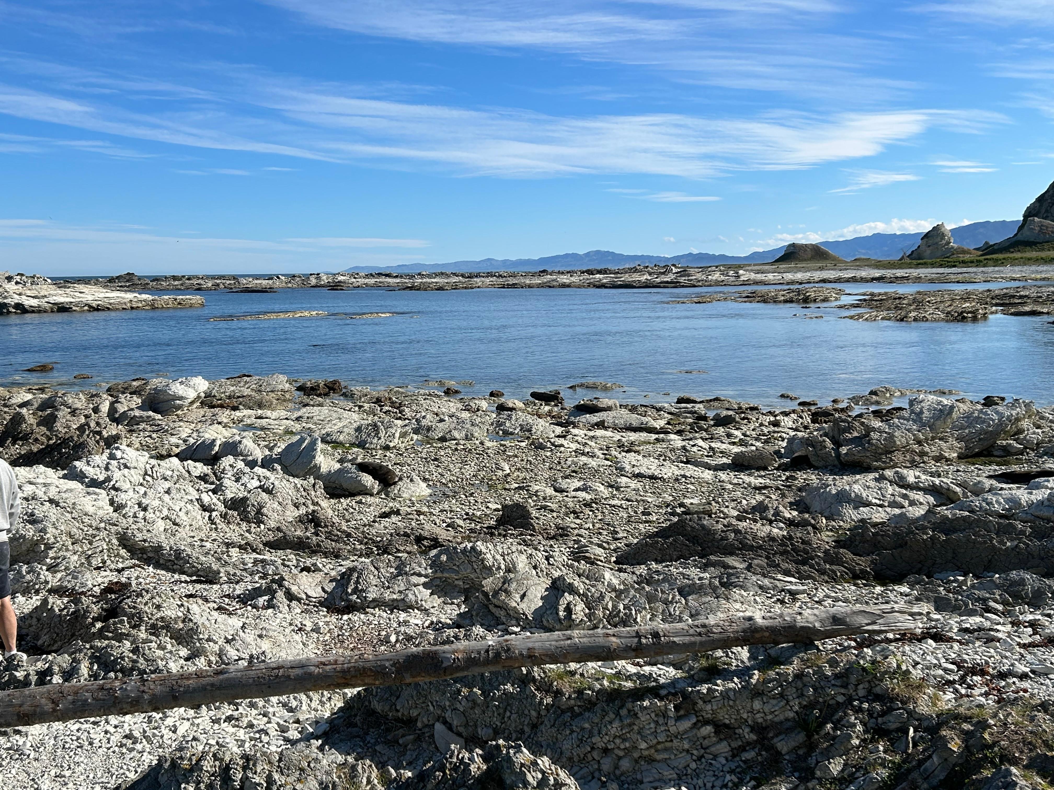 At one of the seal colonies after a short walk round the rocks.